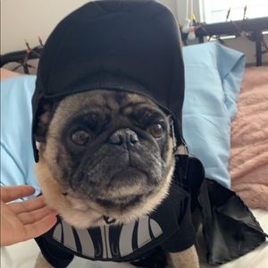 Star Wars Darth Vader Dog Costume, Size Medium.